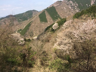 中嶋４.jpg