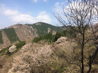 中嶋５.jpg