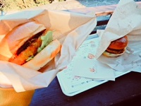向井画像１.jpg