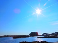 向井画像2.JPG
