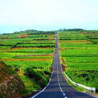 島２.jpg