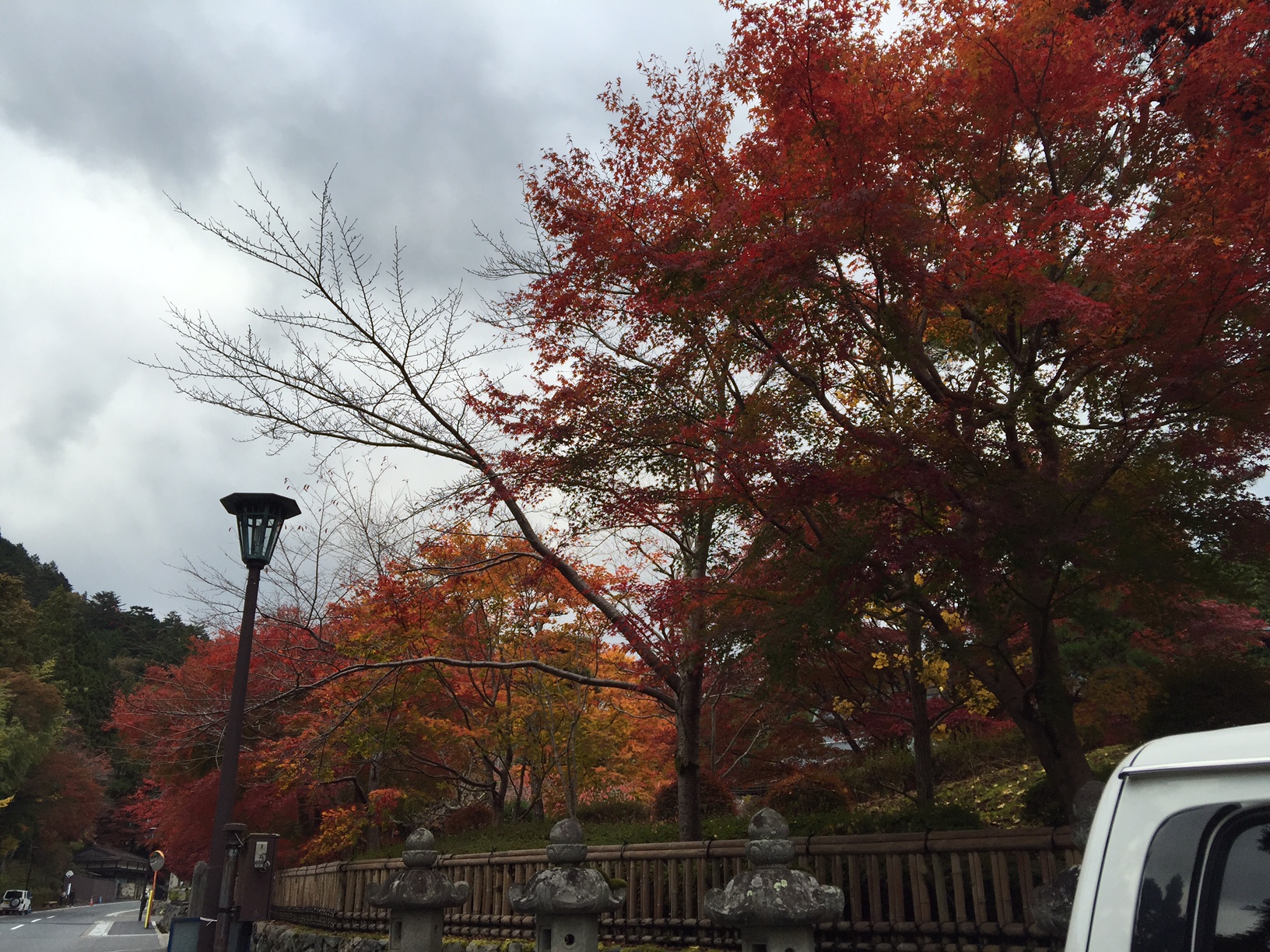 紅葉_1~1.JPG