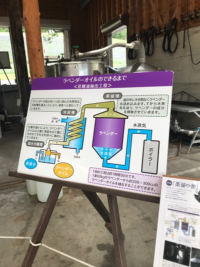 野並２.jpg