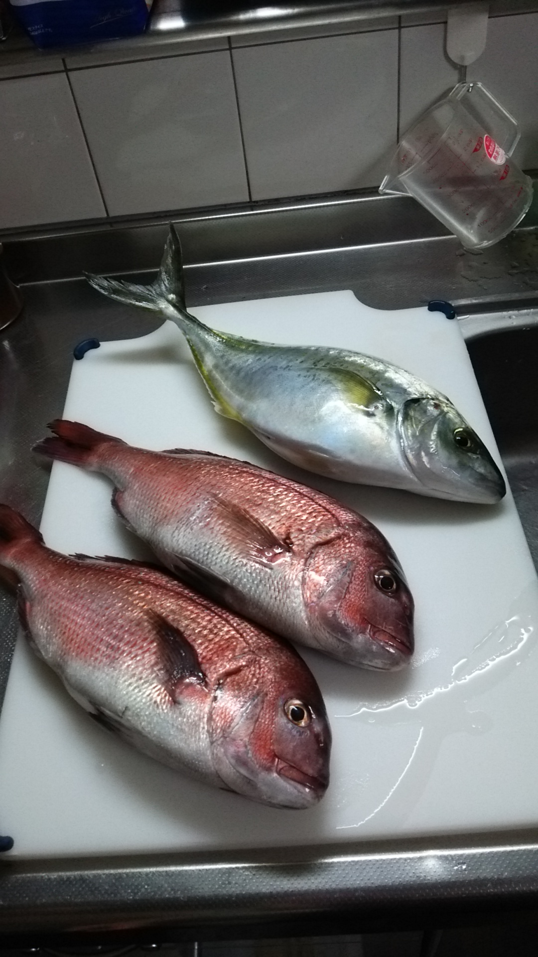魚１_1~1.JPG