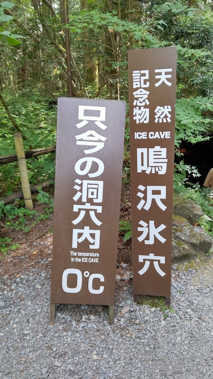 100.jpg
