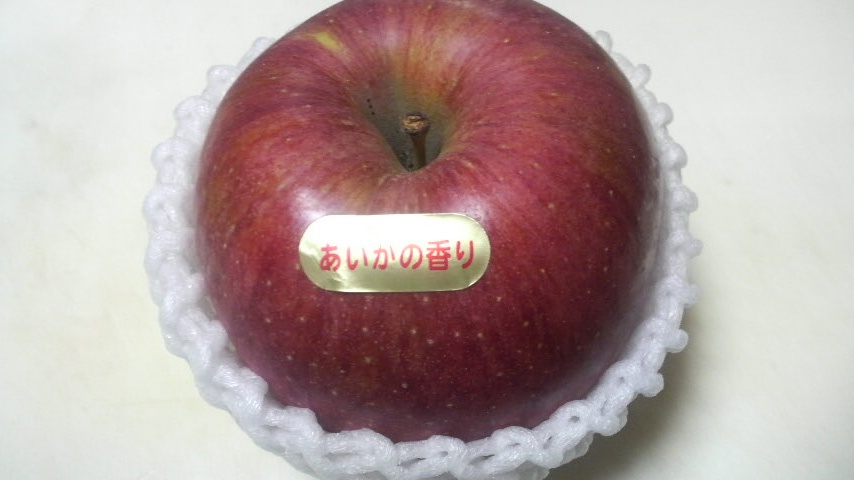 2008113010110000.jpg