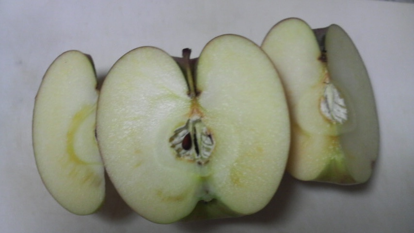 2008113010240000.jpg