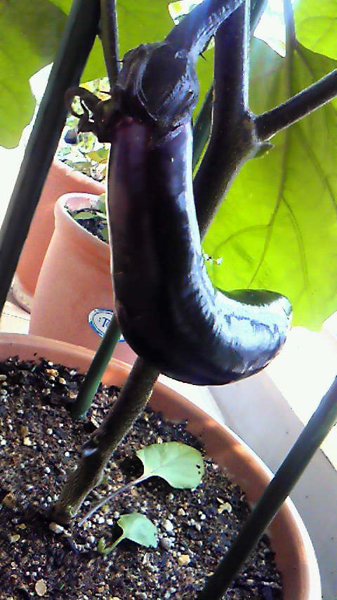 201206231405000.jpg