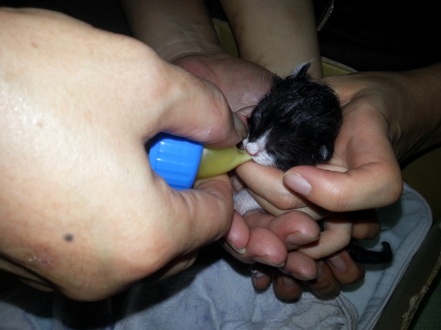 20120915_175531%20%28640x480%29.jpg
