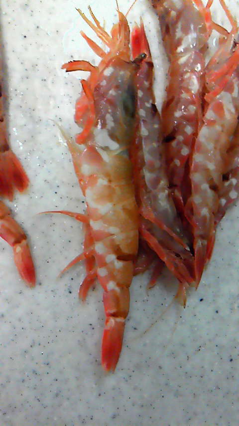 2013041420130yaku2.JPG