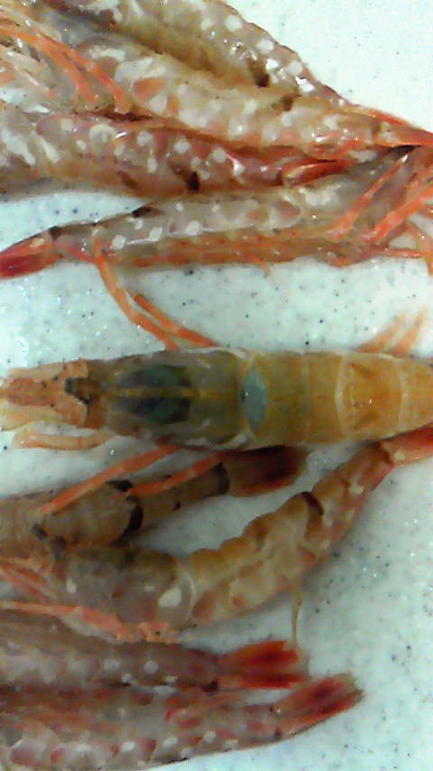 201304142013yaku1.JPG