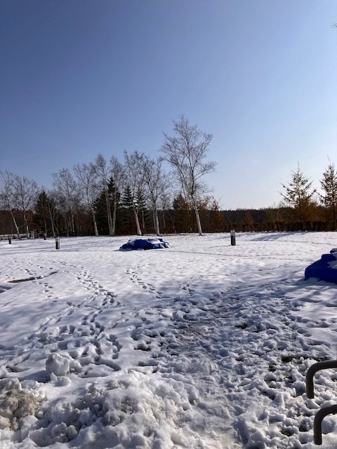 IMG_3932.jpg