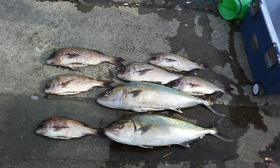 P1000005.JPG