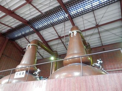 P2080201.JPG