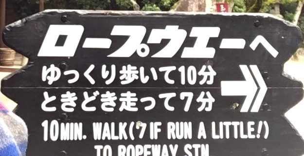 image1薮内.jpg