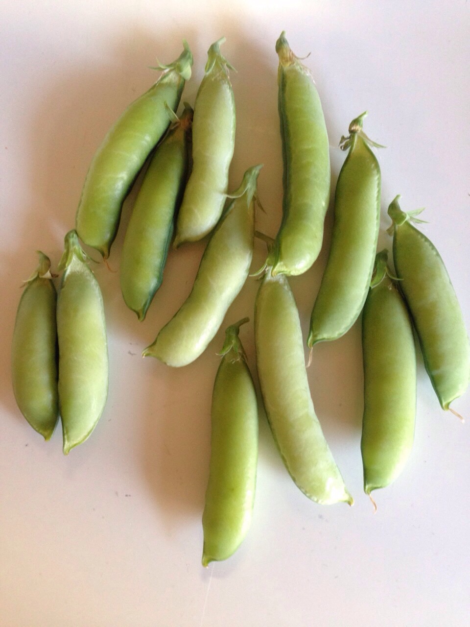 image4.JPG