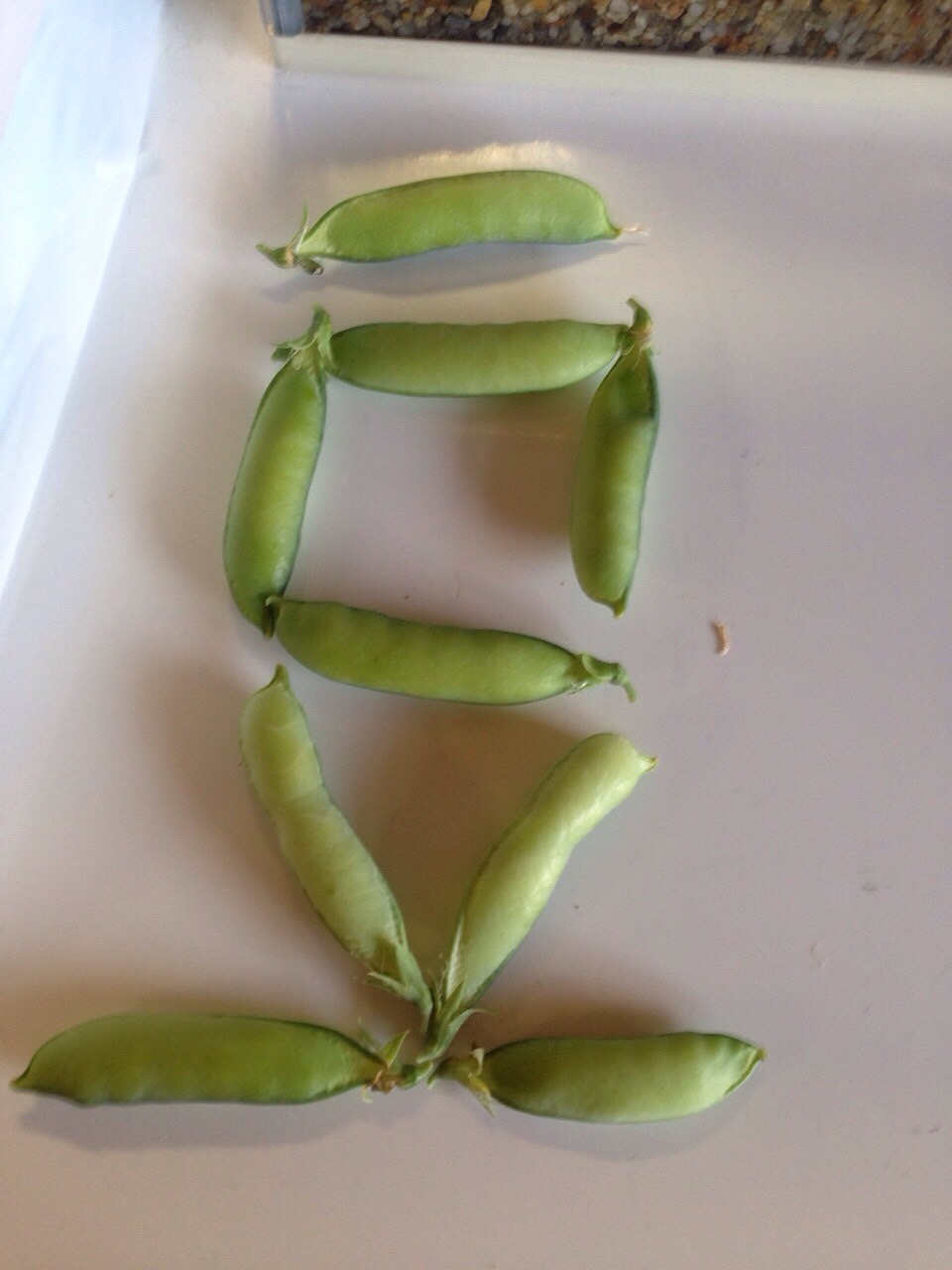 image5.JPG